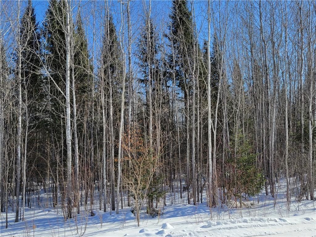 40 acres in Sawyer County, Wisconsin