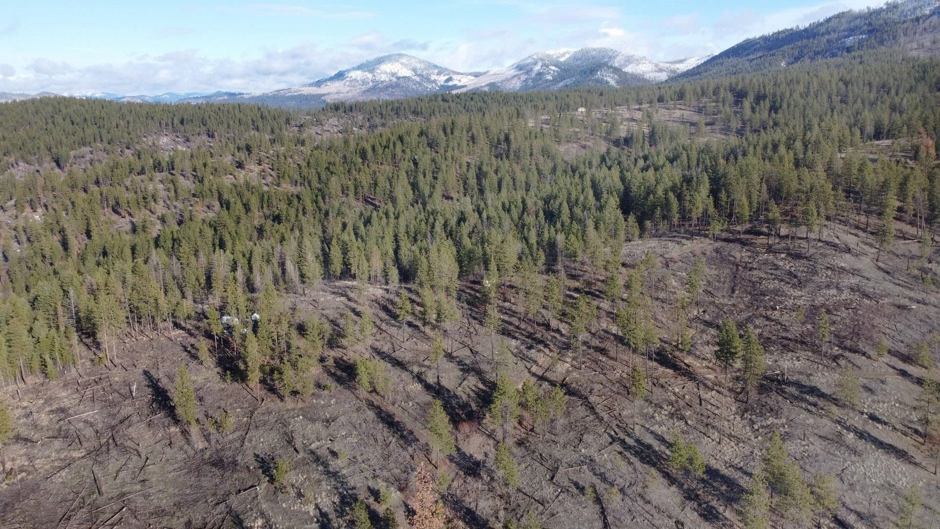 5 acres in Stevens County, Washington