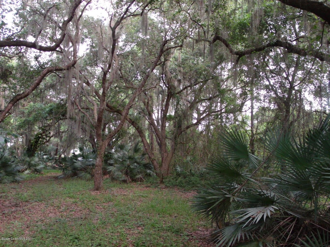 3 acres in Brevard County, Florida