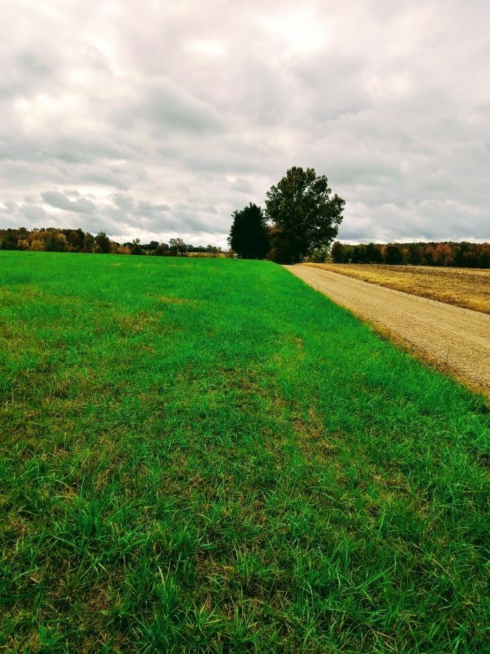 40 acres in Stoddard County, Missouri