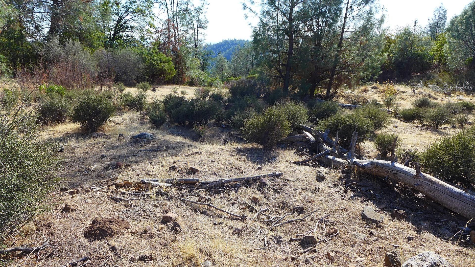 20 acres in Shasta County, California