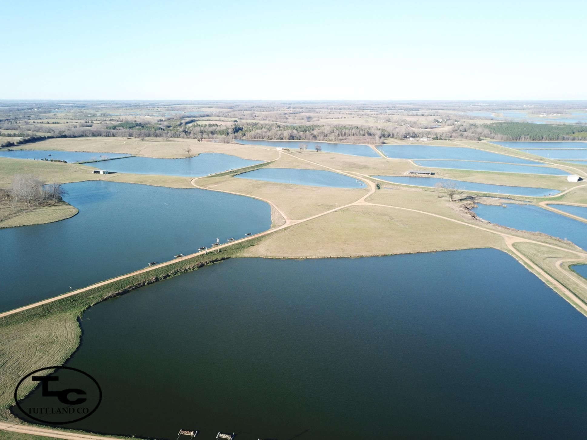 486 acres in Hale County, Alabama