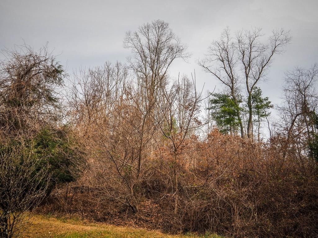 12 acres in Grayson County, Virginia