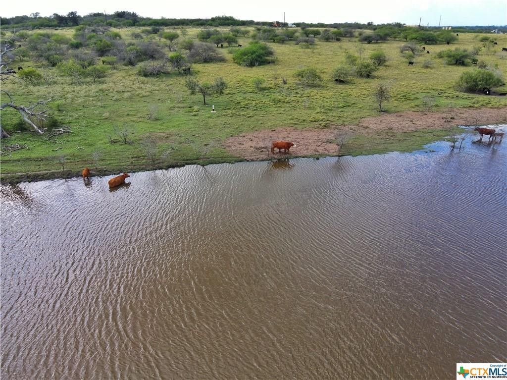 286.2 acres in Dewitt County, Texas