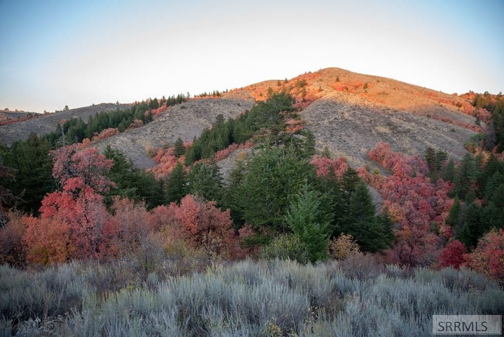 40 acres in Bannock County, Idaho