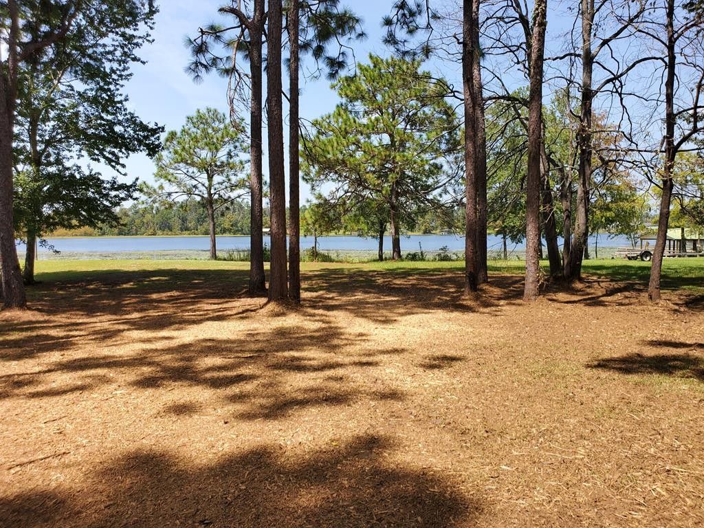 Lot 1060 Malone Drive Loop, Donalsonville, GA 39845 MLS 10097