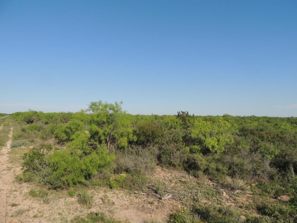 25 acres in Coleman County, Texas