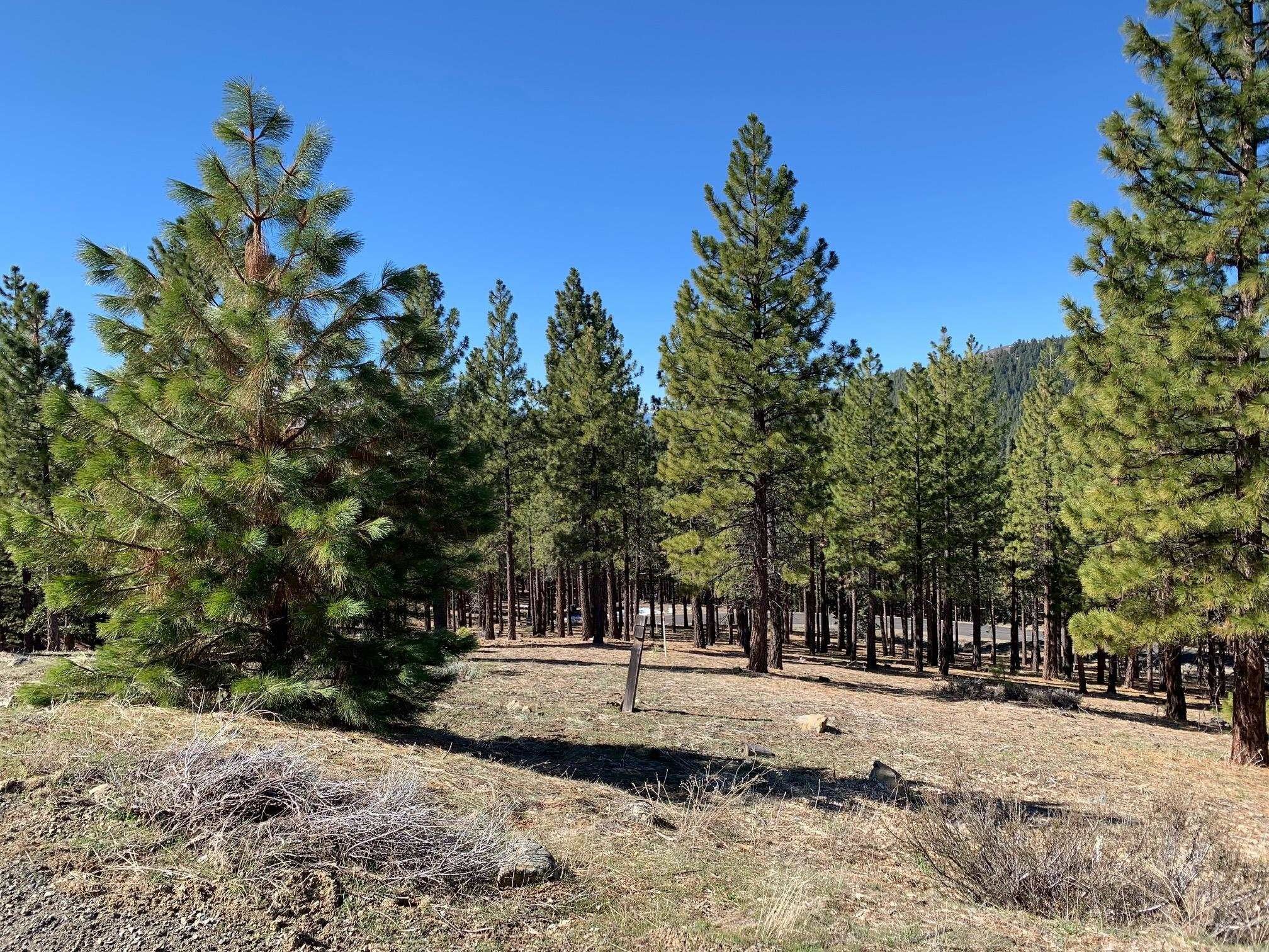 1 acres in Plumas County, California
