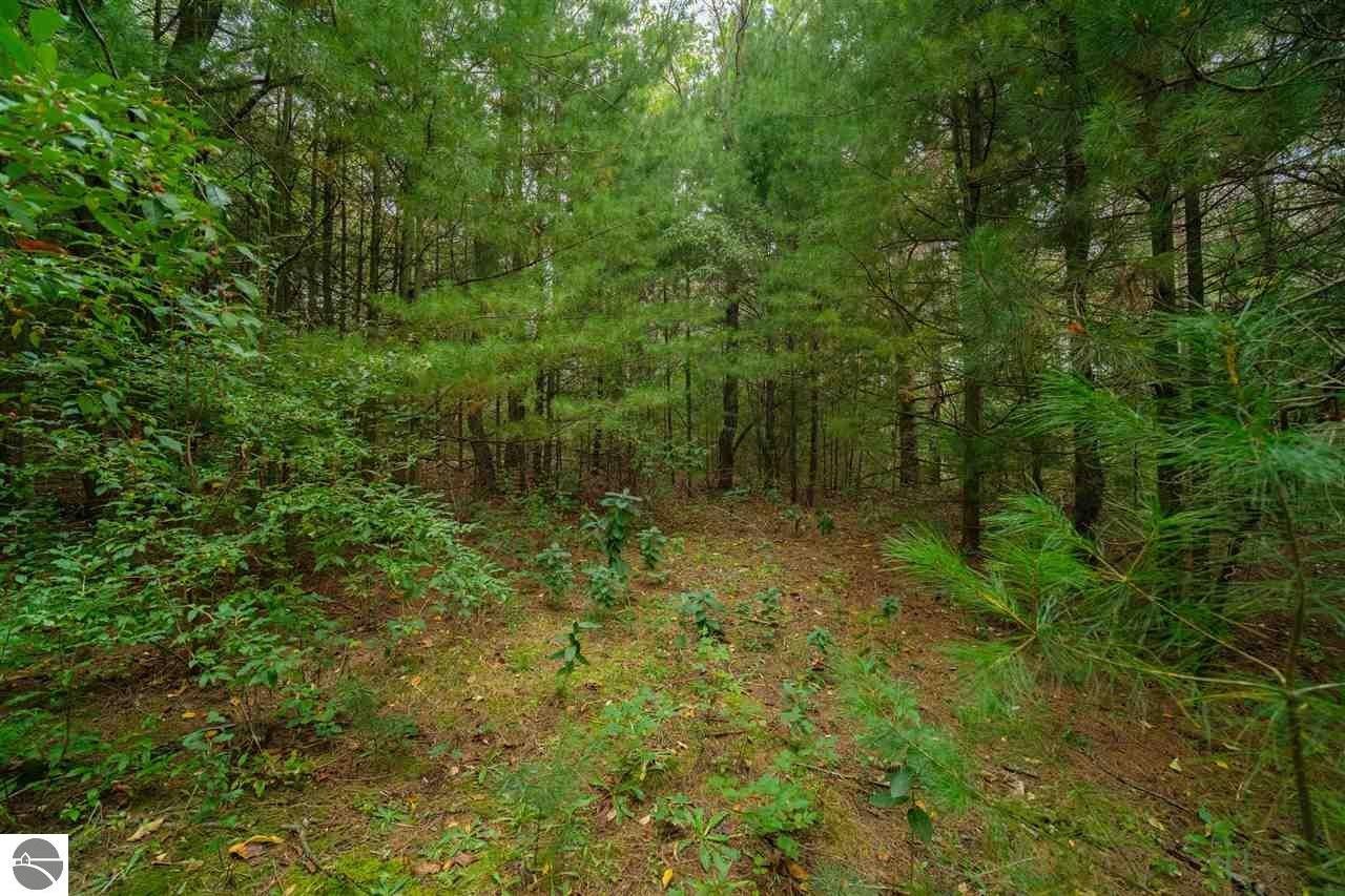 10 acres in Manistee County, Michigan