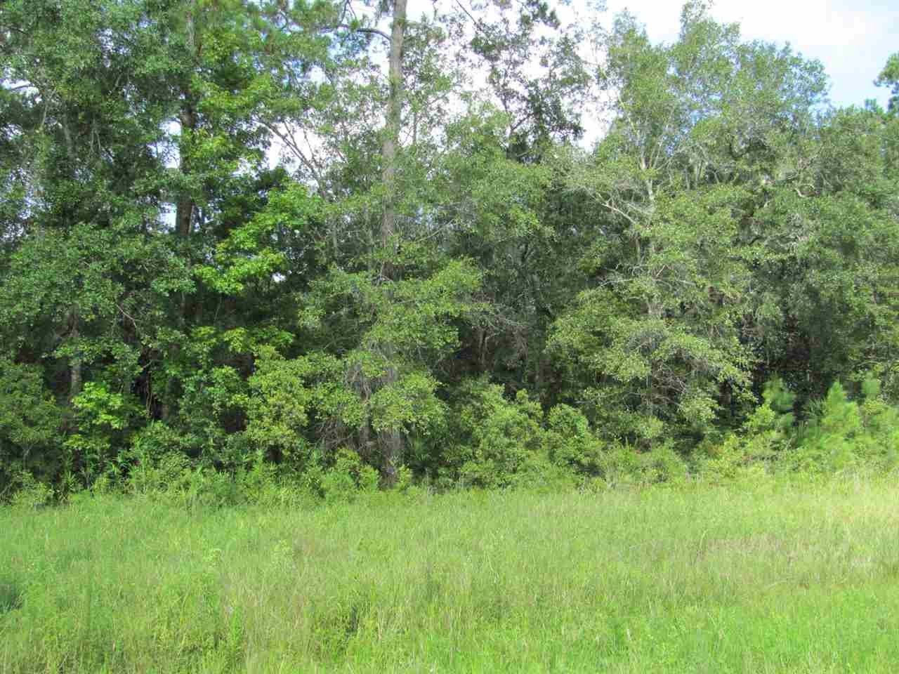 1 acres in Wakulla County, Florida