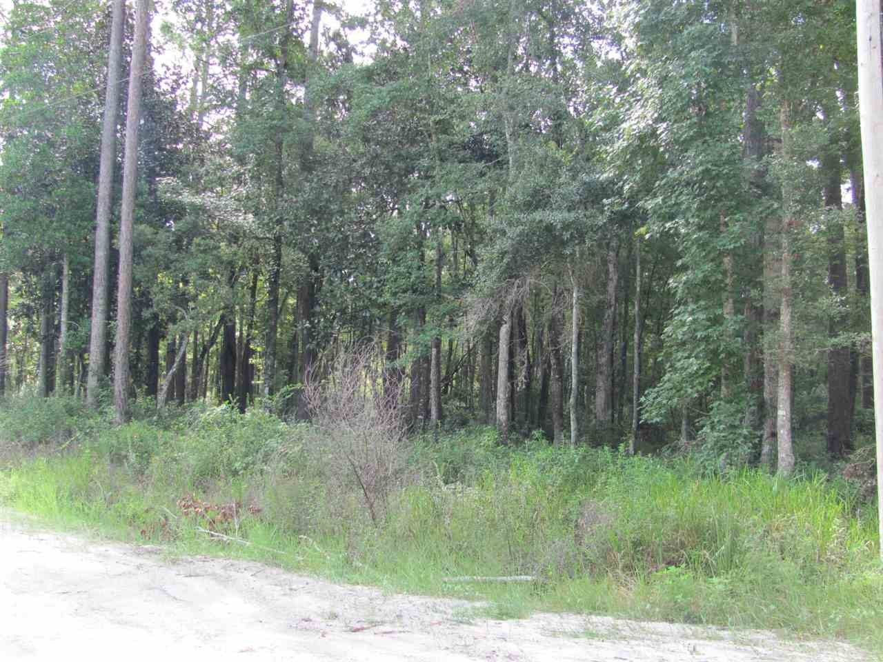 6 acres in Wakulla County, Florida