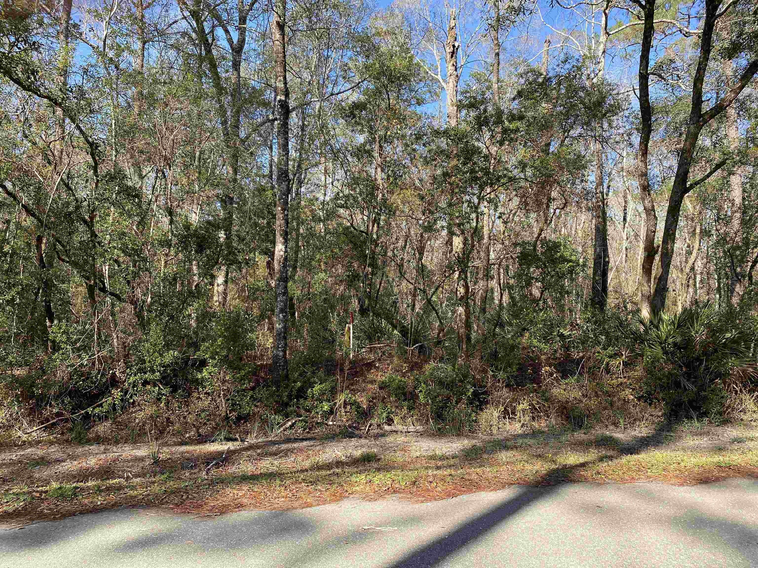 12 acres in Wakulla County, Florida