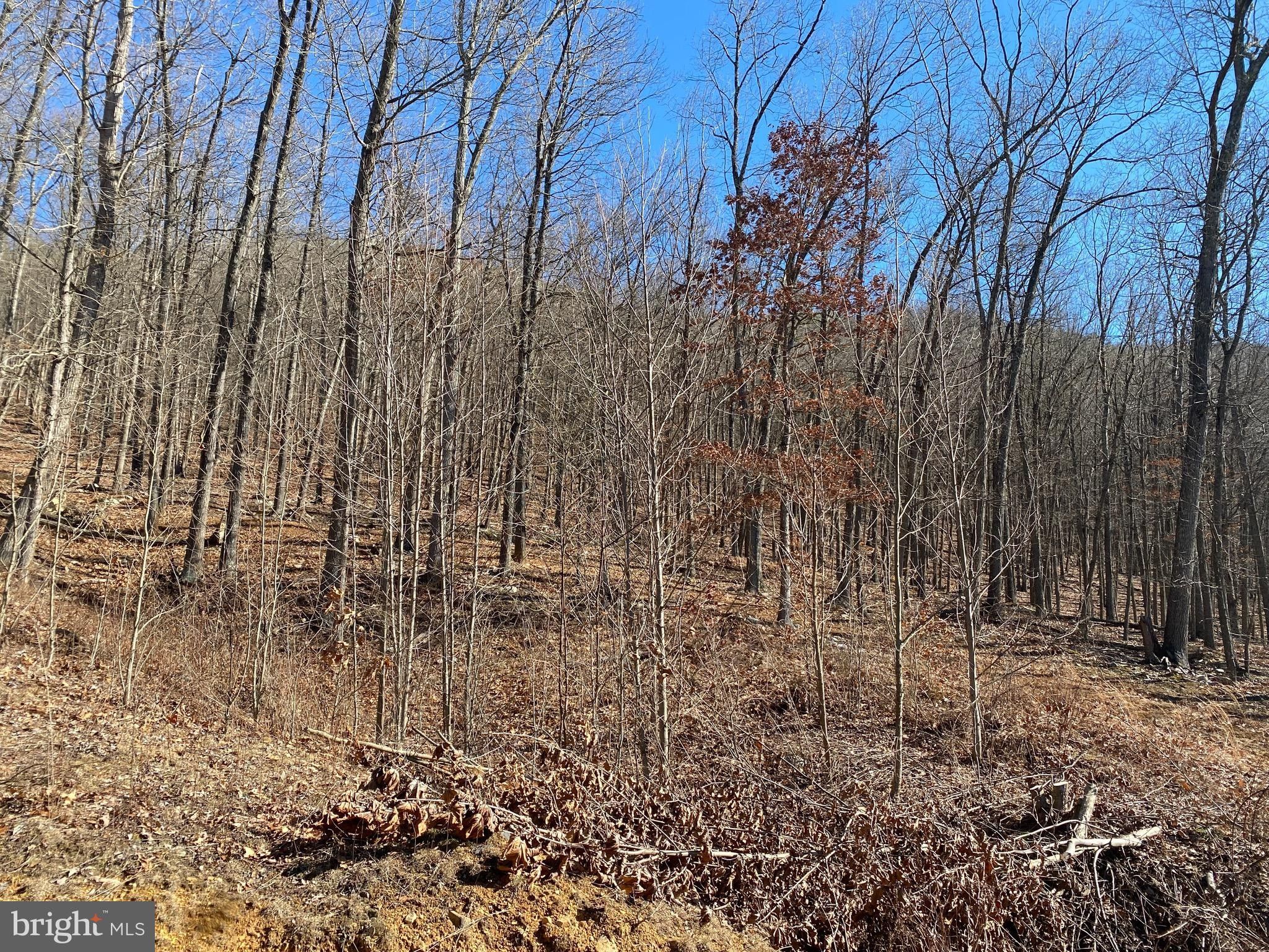 4.73 acres in Hampshire County, West Virginia
