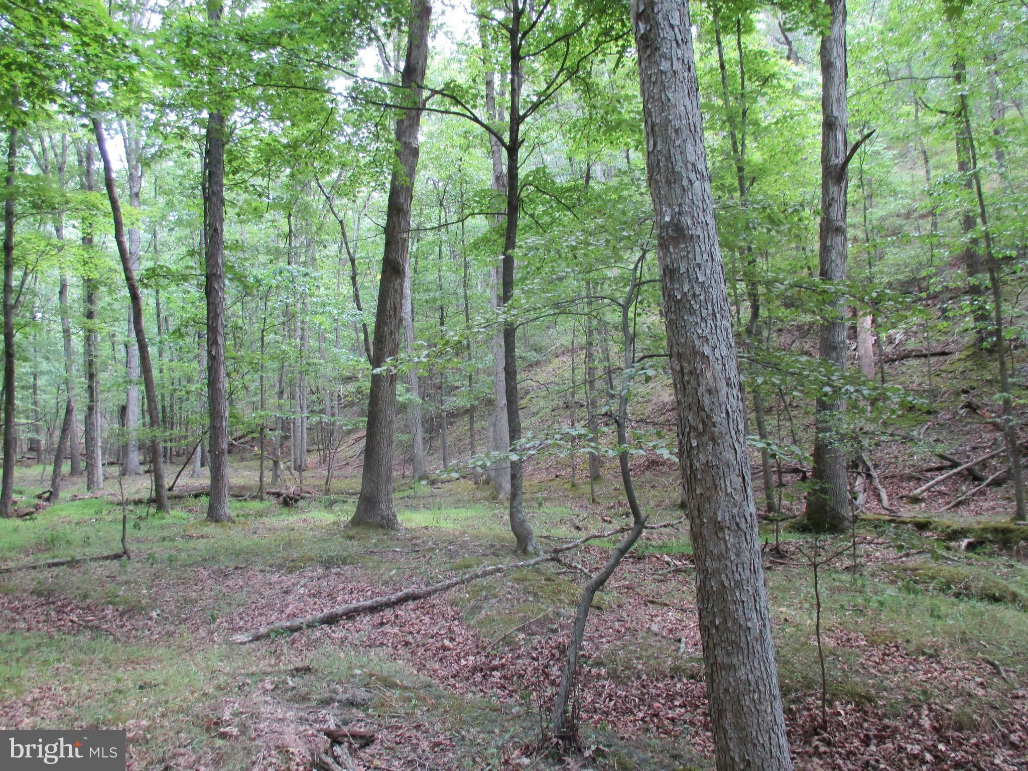 130.12 acres in Mineral County, West Virginia