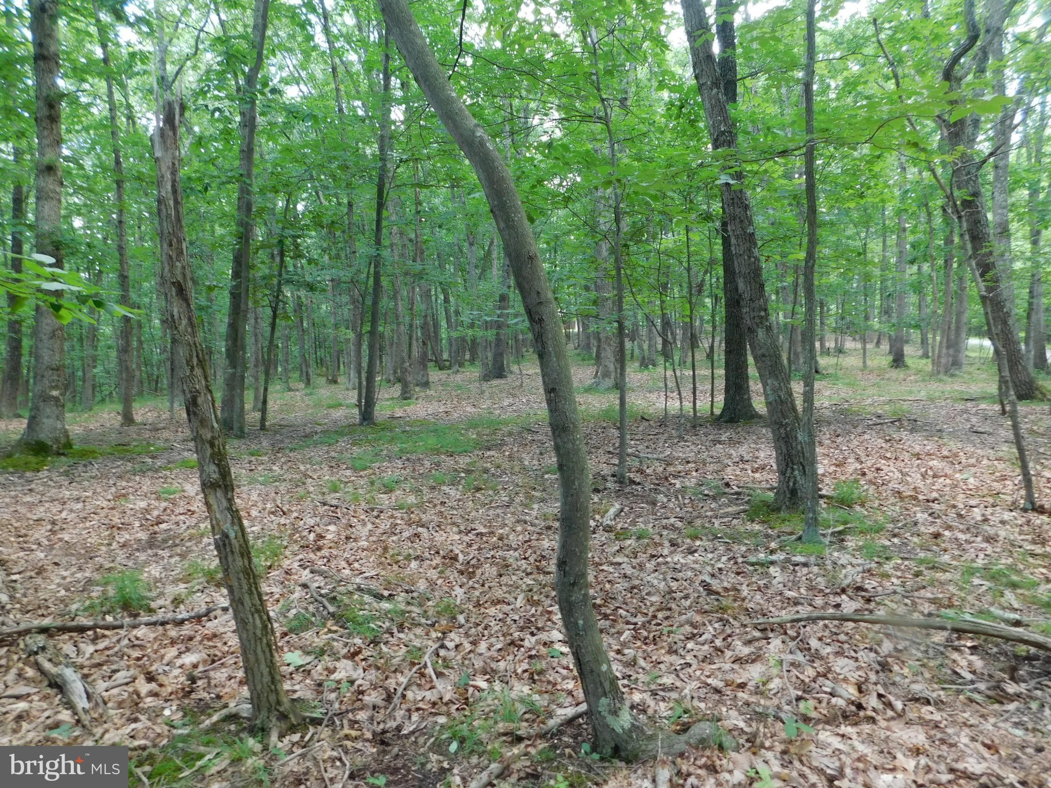 2 acres in Mineral County, West Virginia