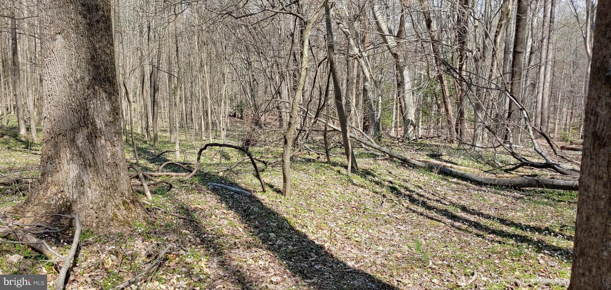 9.49 acres in Charles County, Maryland