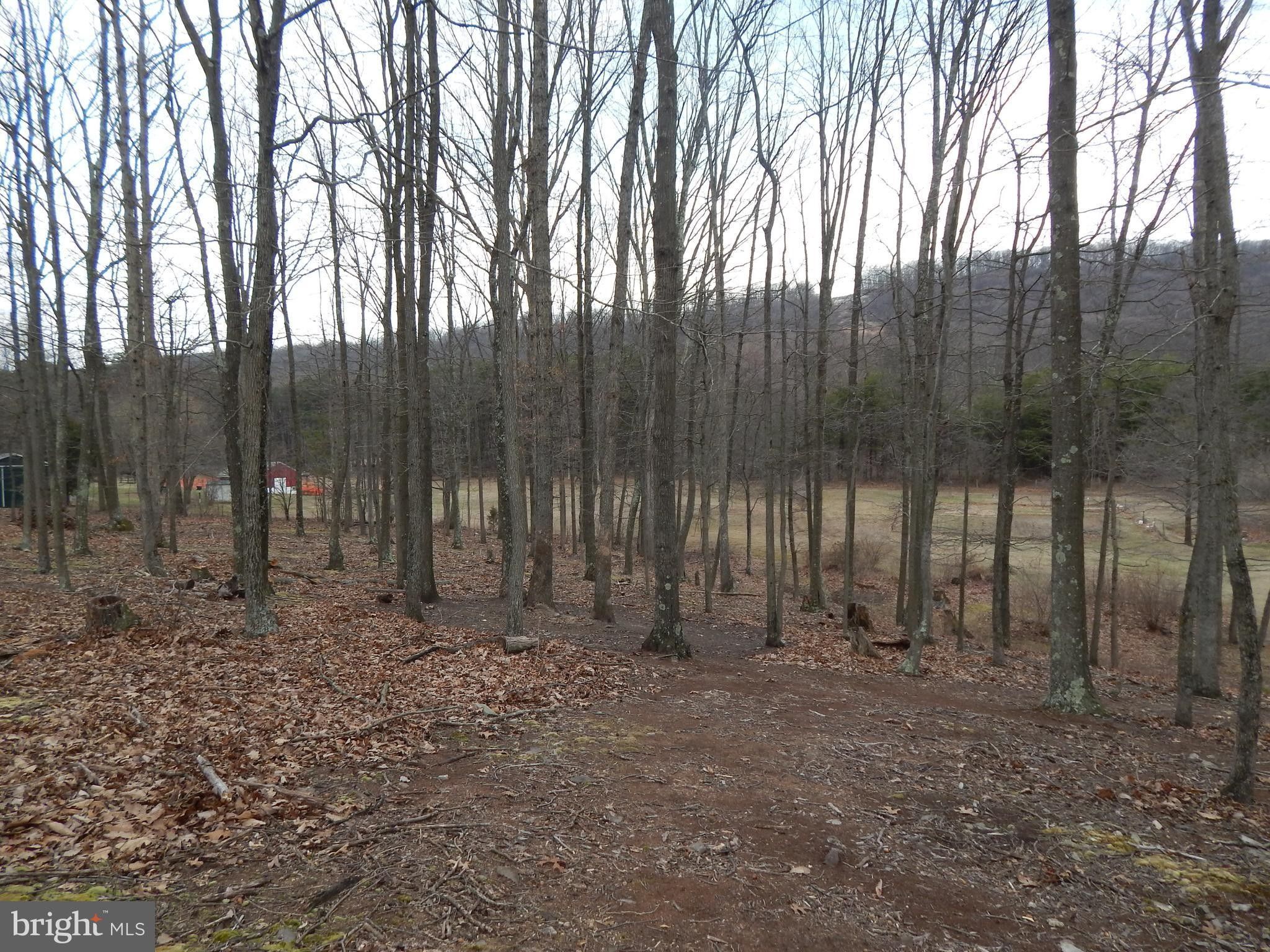 2 acres in County, West Virginia