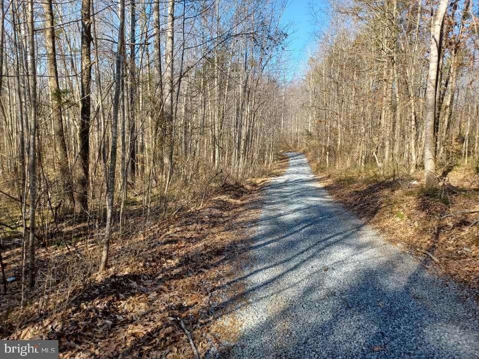 5.75 acres in Culpeper County, Virginia