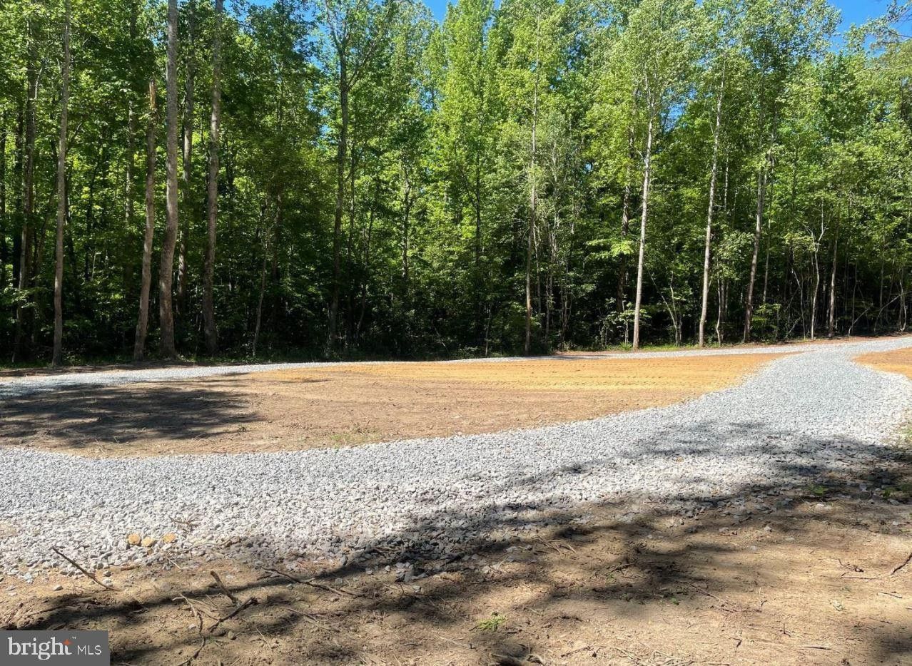 13 acres in Louisa County, Virginia