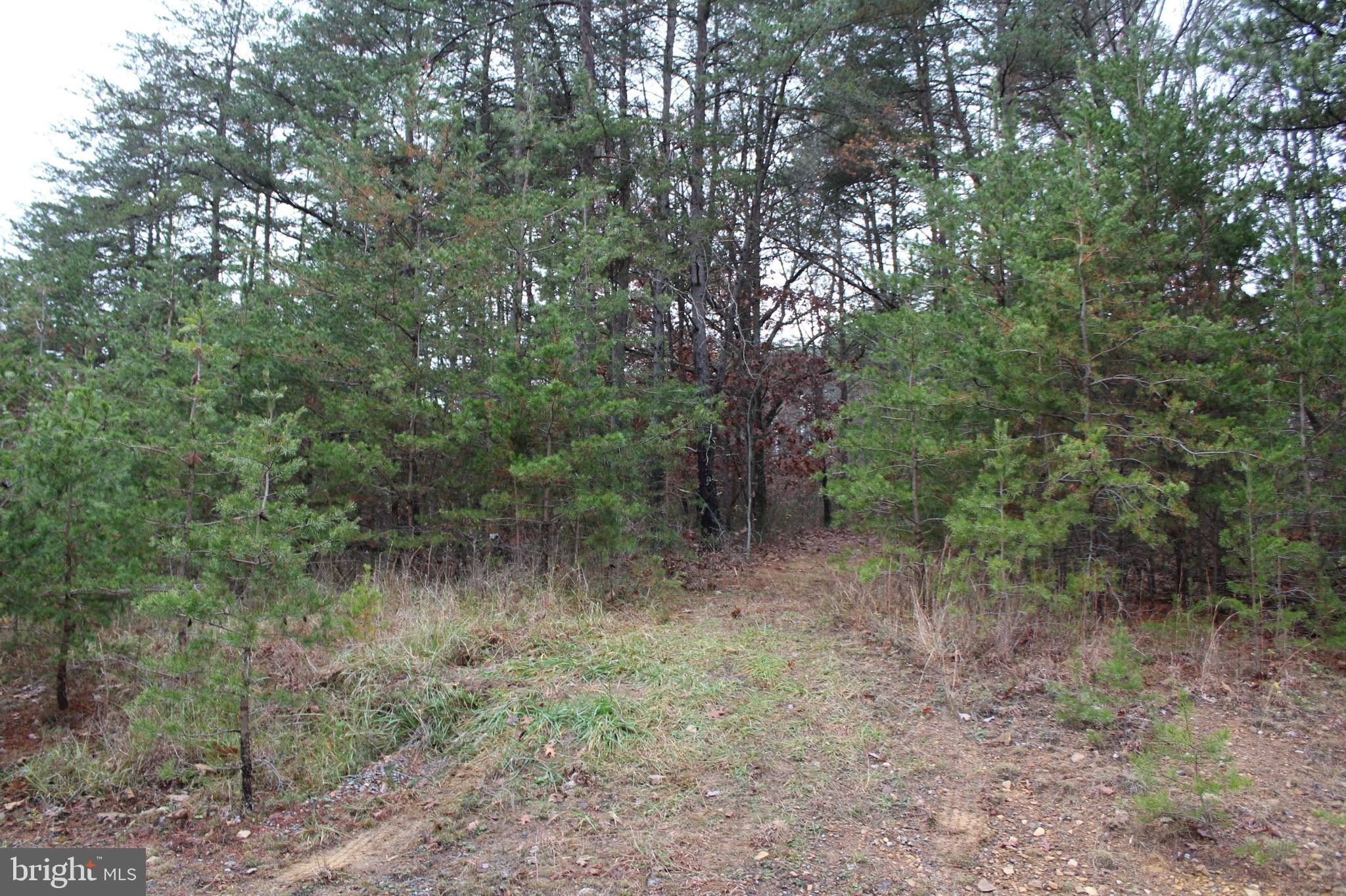 7.52 acres in Frederick County, Virginia