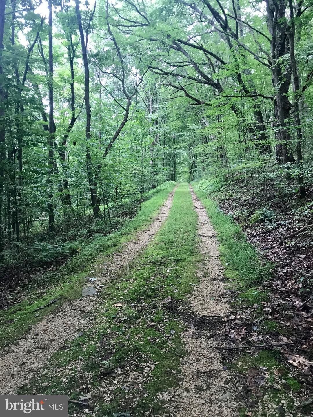 246.49 acres in Fauquier County, Virginia