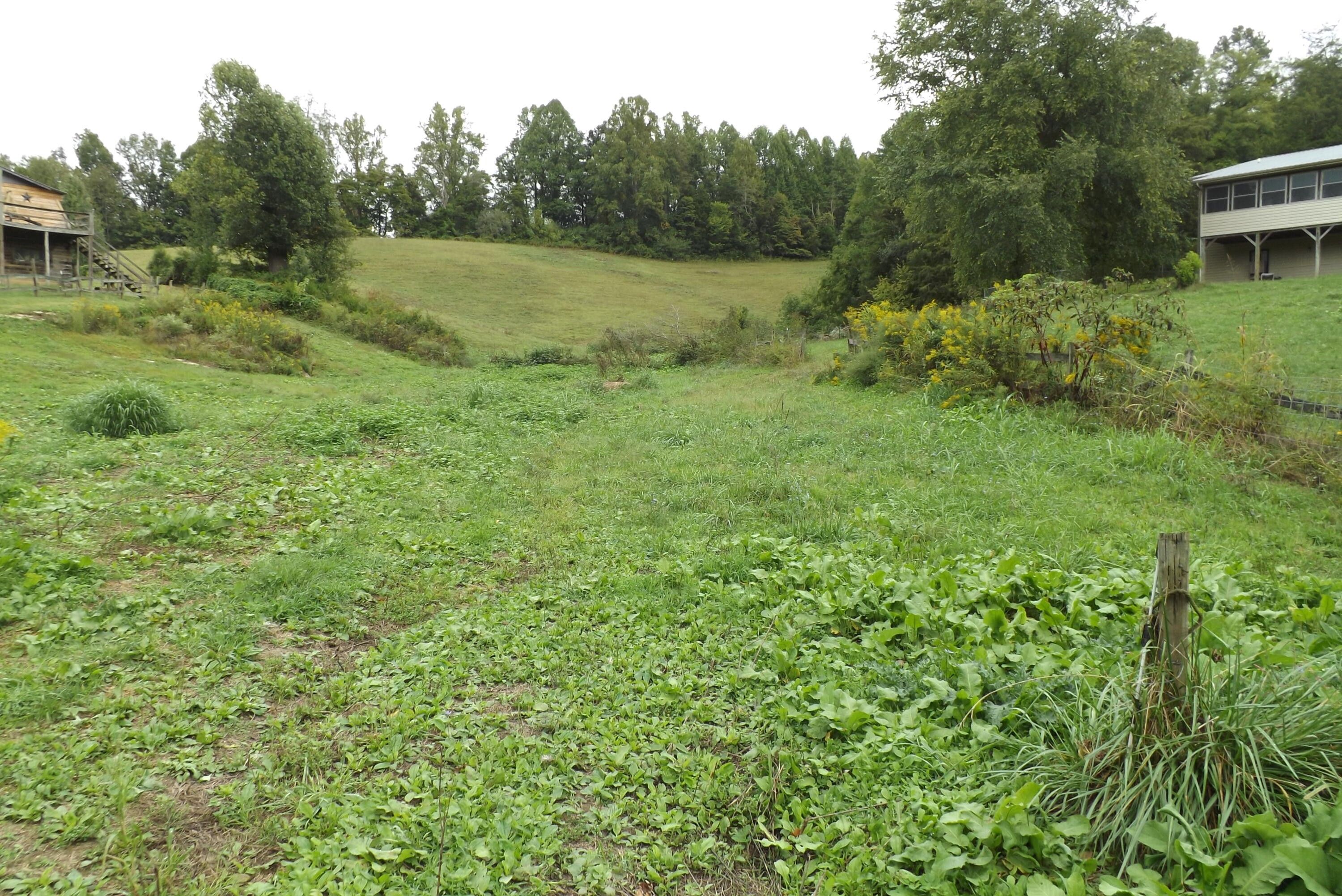 6.99 acres in Scott County, Virginia