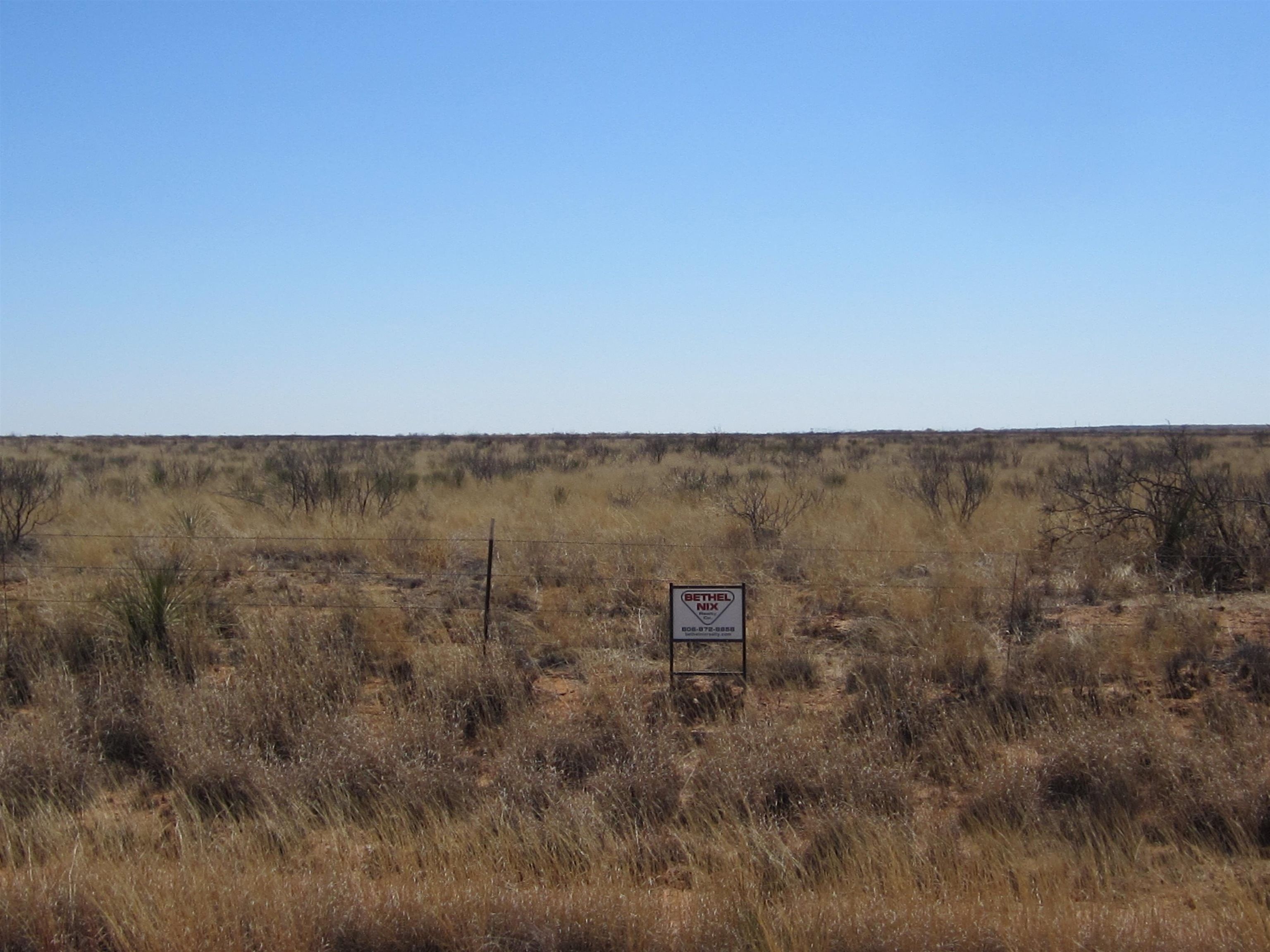 53 acres in Gaines County, Texas