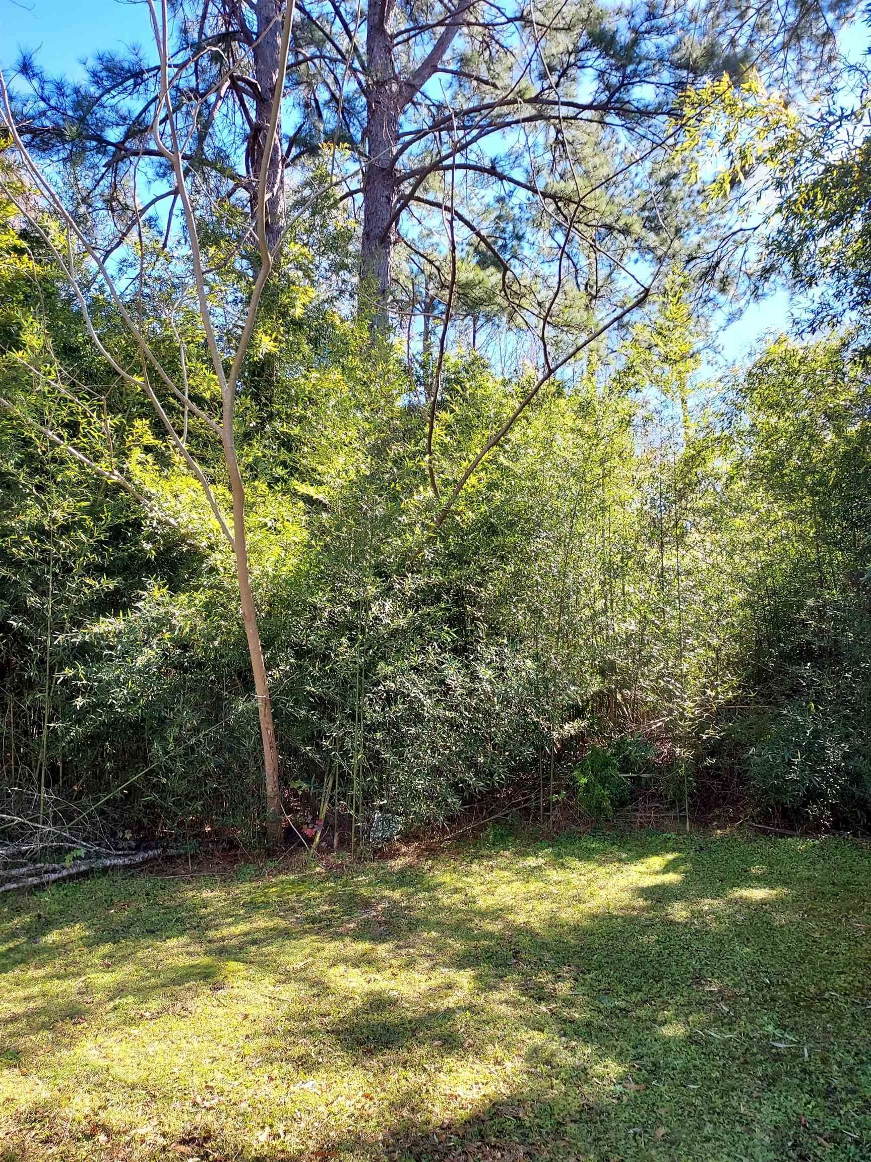 4 acres in Newton County, Texas