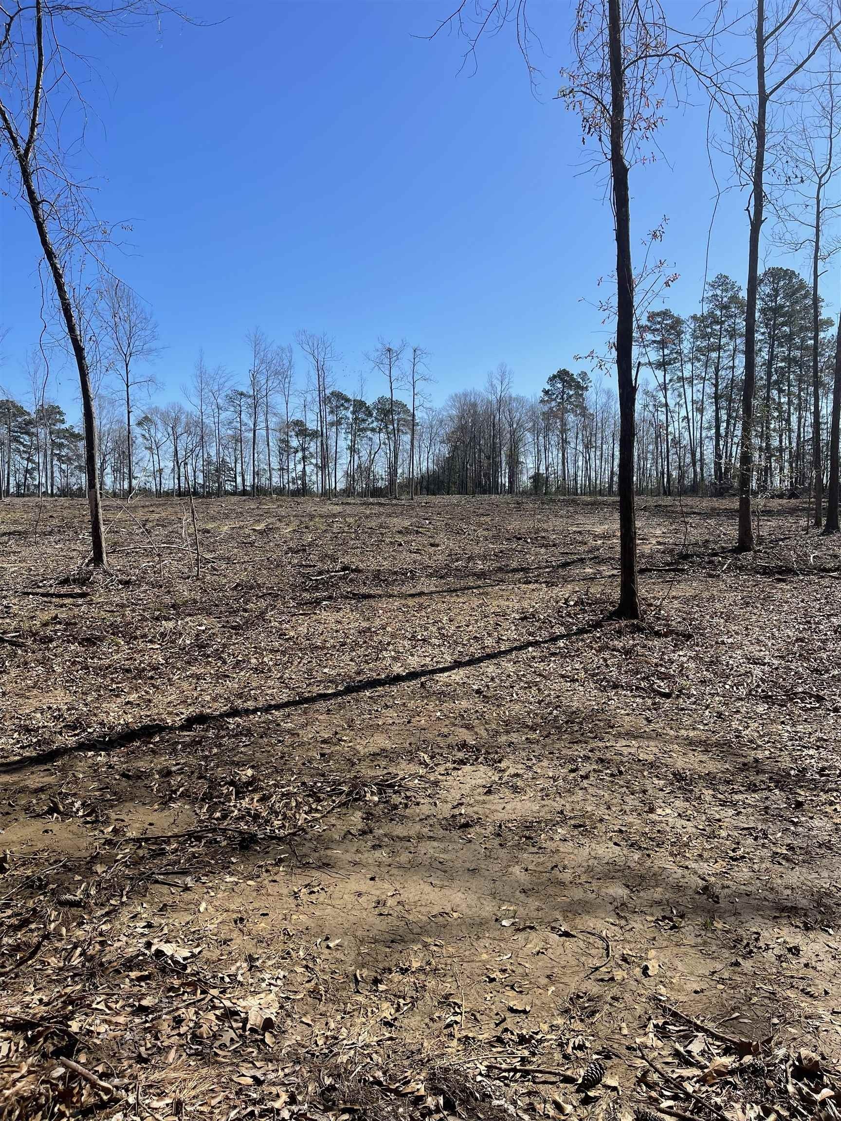 40 acres in Sabine County, Texas