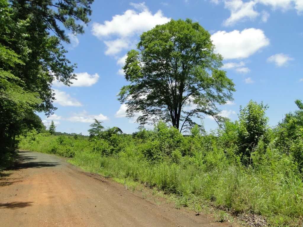 10 acres in Sabine County, Texas