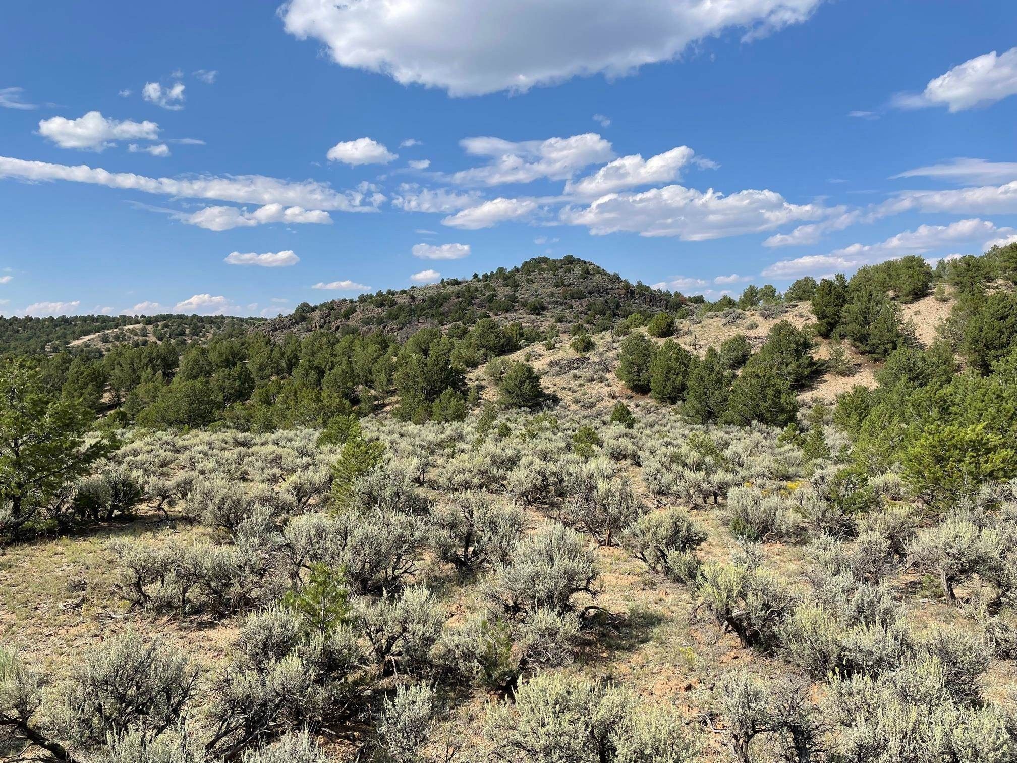 3 acres in Taos County, New Mexico