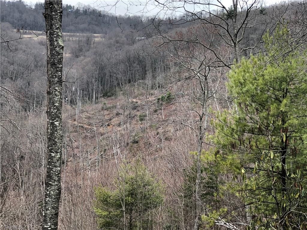 66 acres in Carroll County, Virginia
