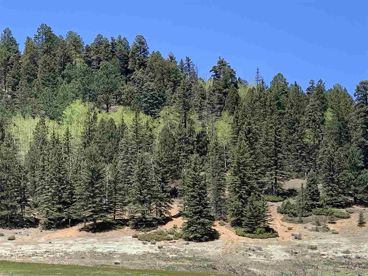 48 acres in Taos County, New Mexico