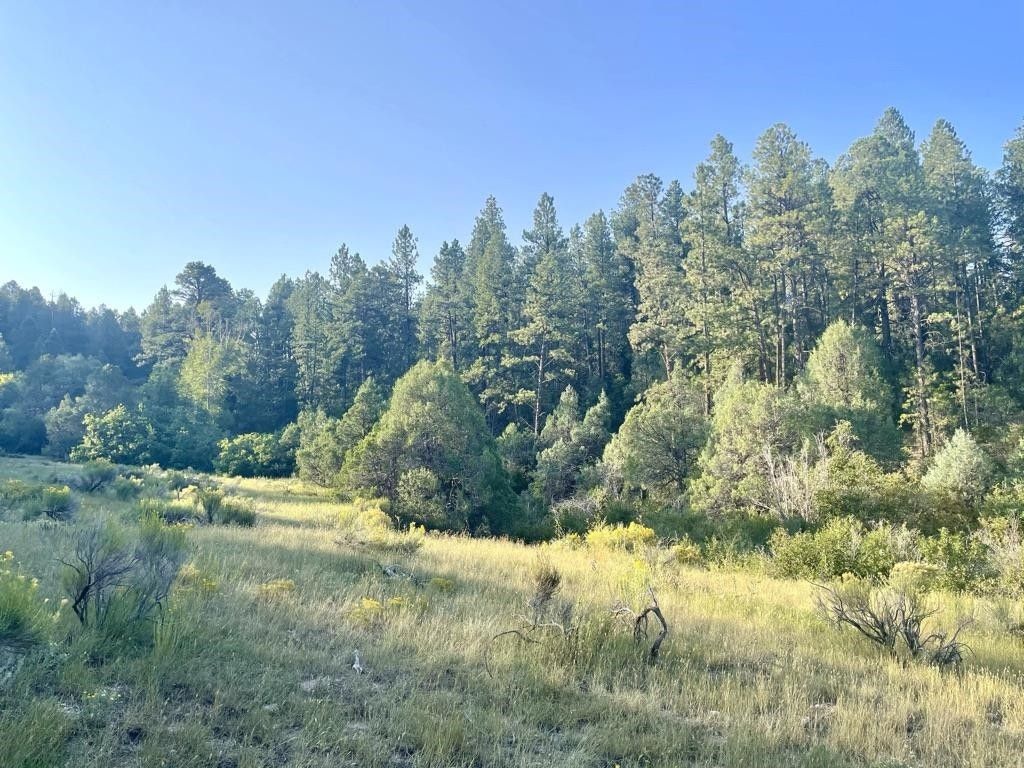 43.49 acres in Taos County, New Mexico