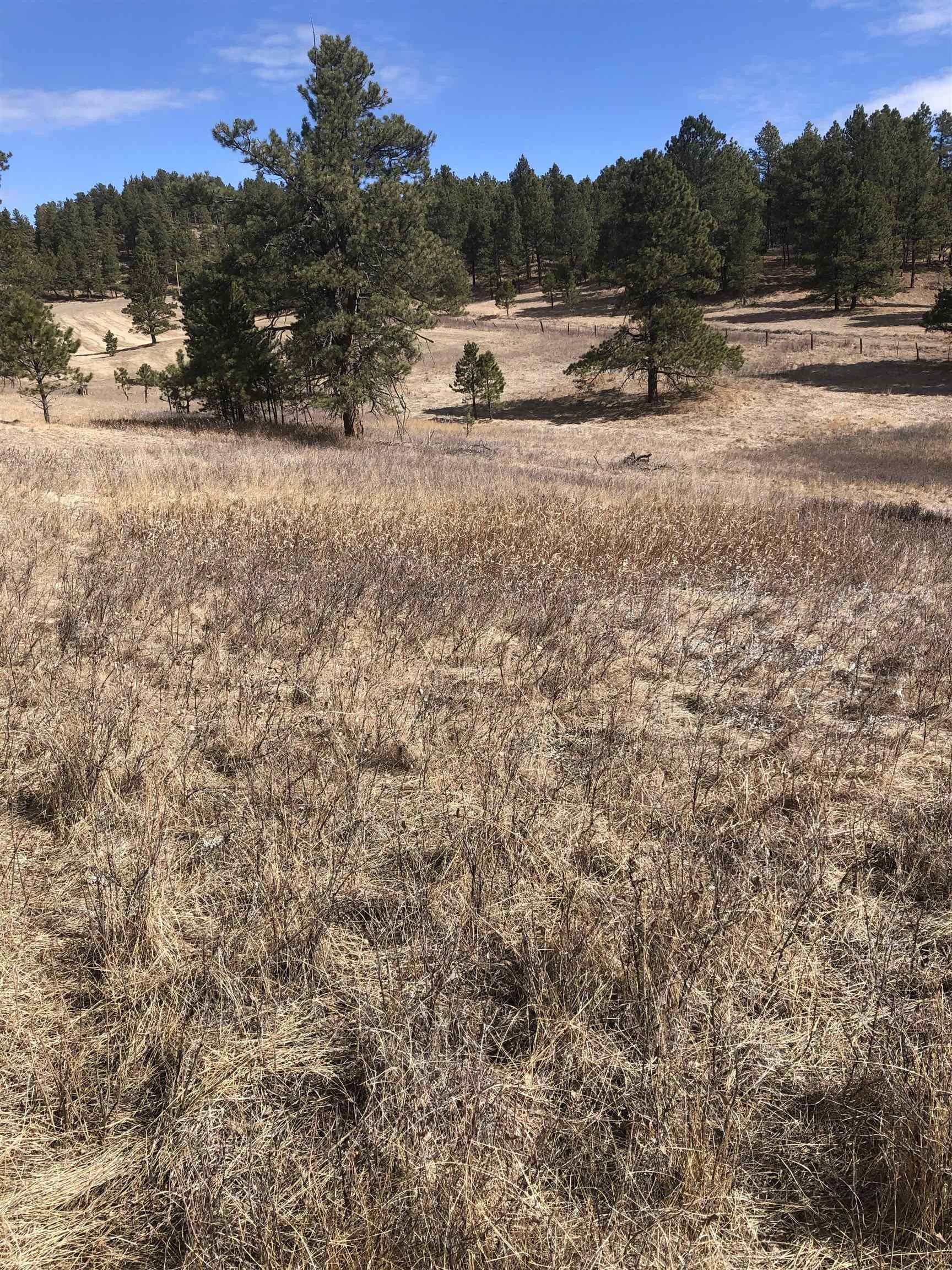 10 acres in Pennington County, South Dakota