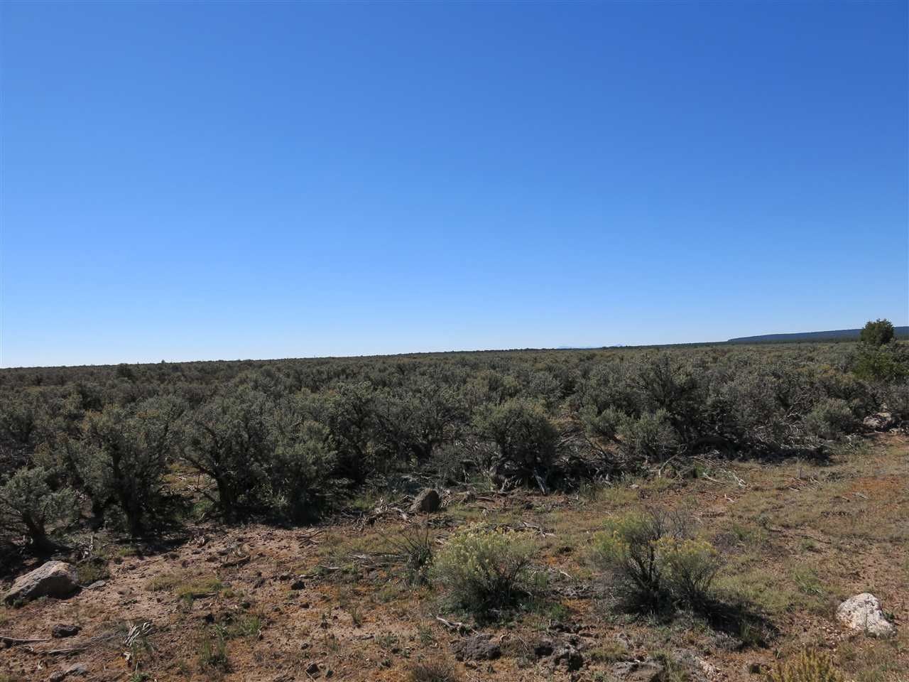 40 acres in Taos County, New Mexico