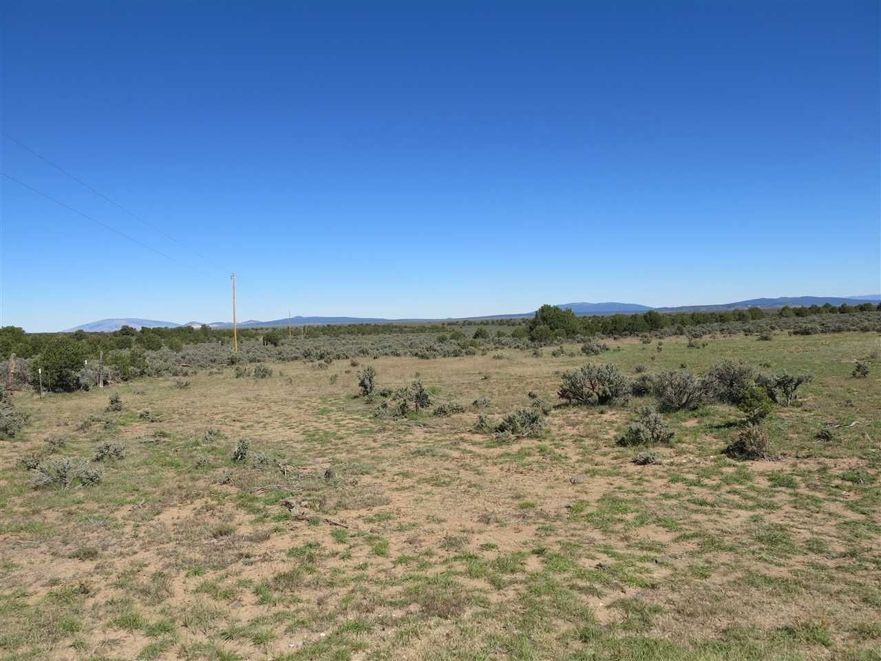40 acres in Taos County, New Mexico