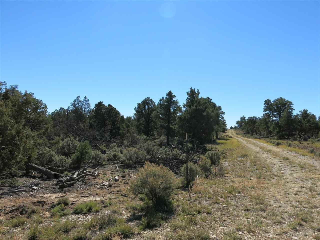 40 acres in Taos County, New Mexico