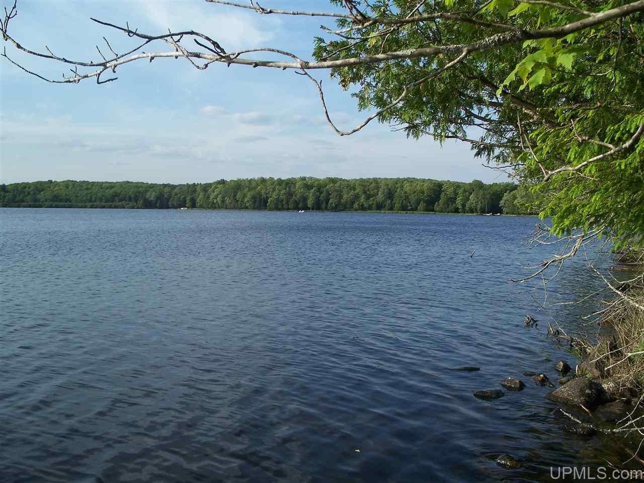 11.5 acres in Iron County, Michigan