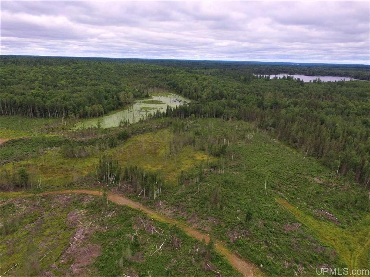 120 acres in Iron County, Michigan