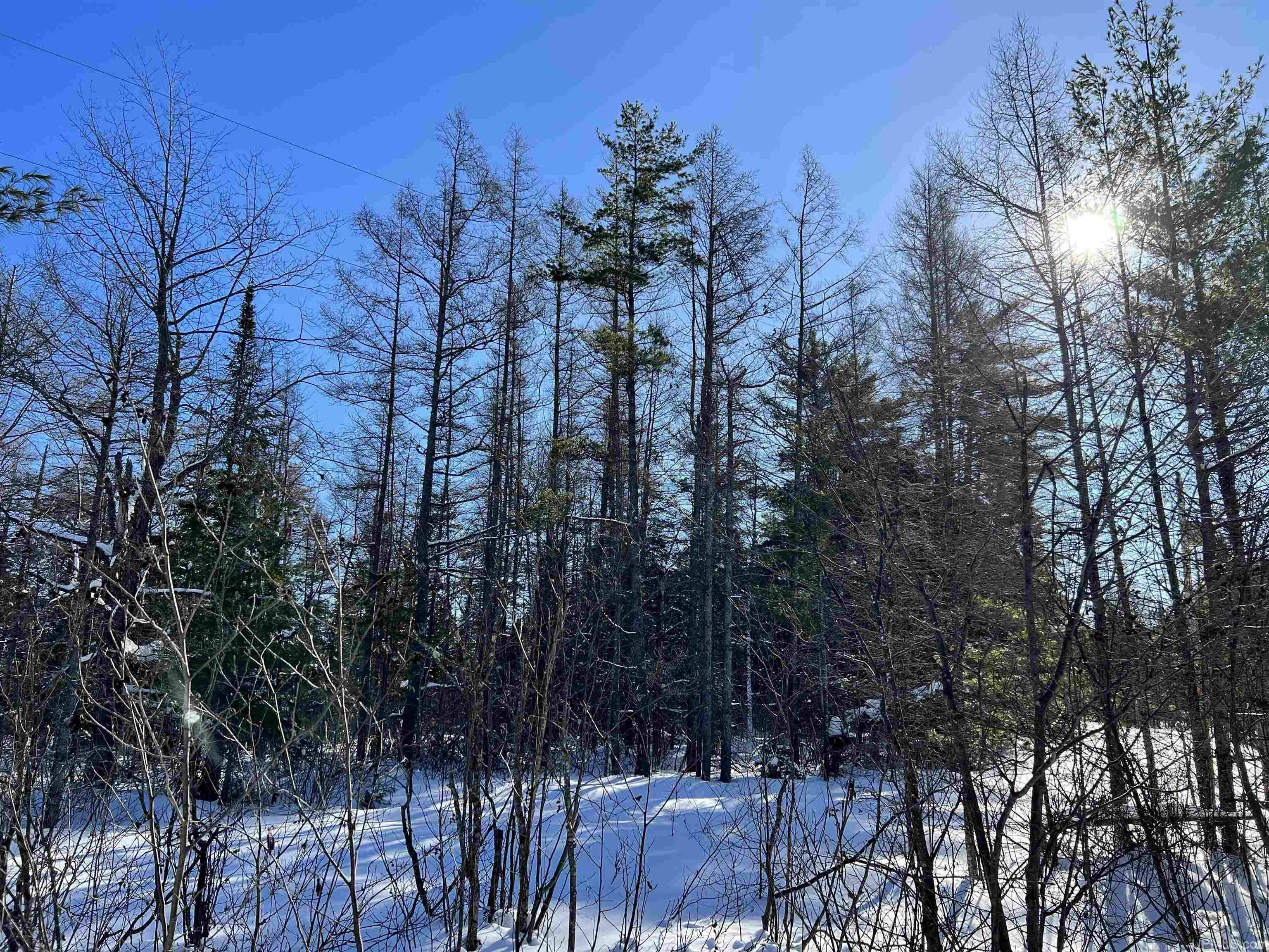 15 acres in Mackinac County, Michigan