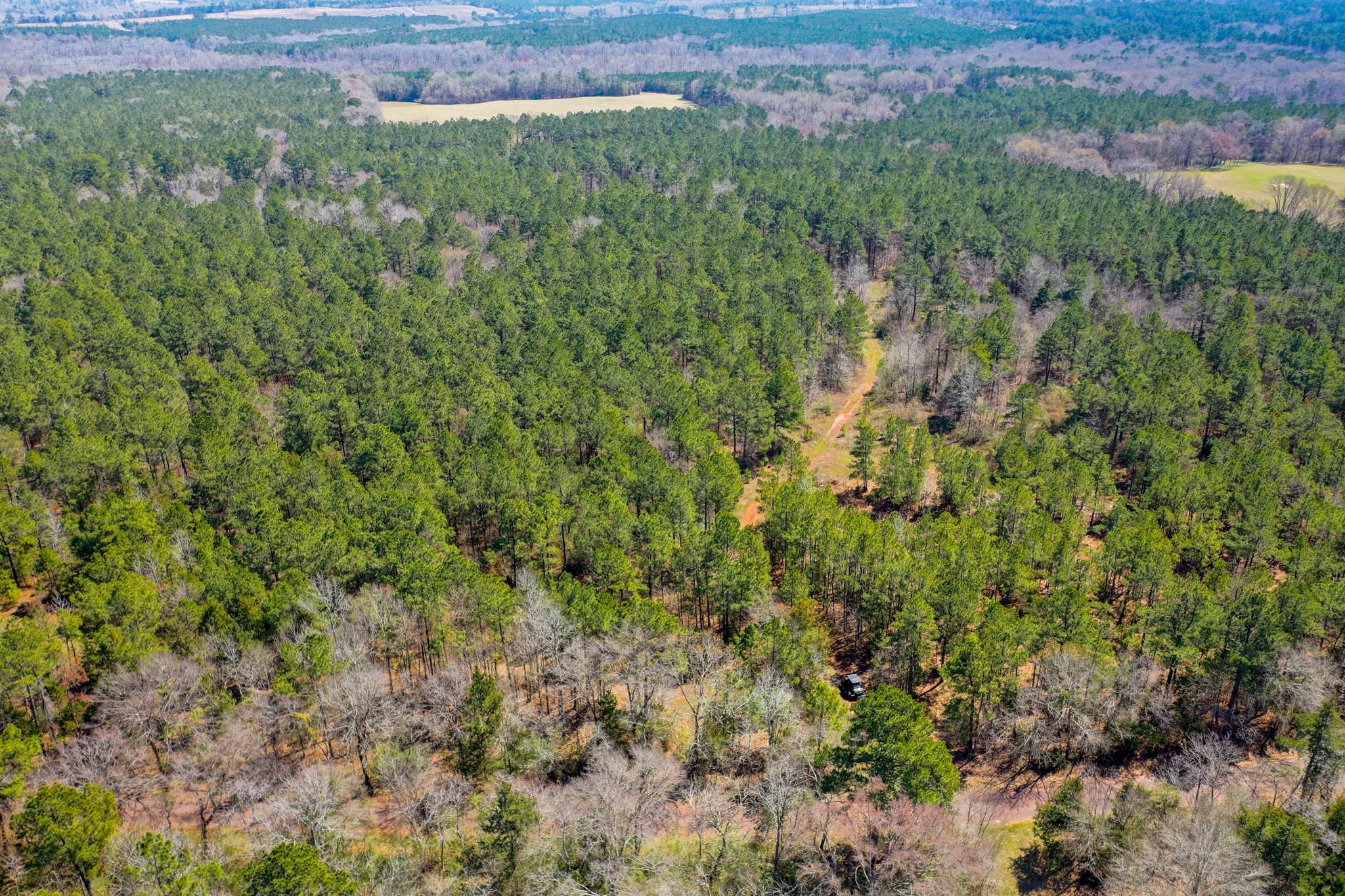 100 acres in Nacogdoches County, Texas