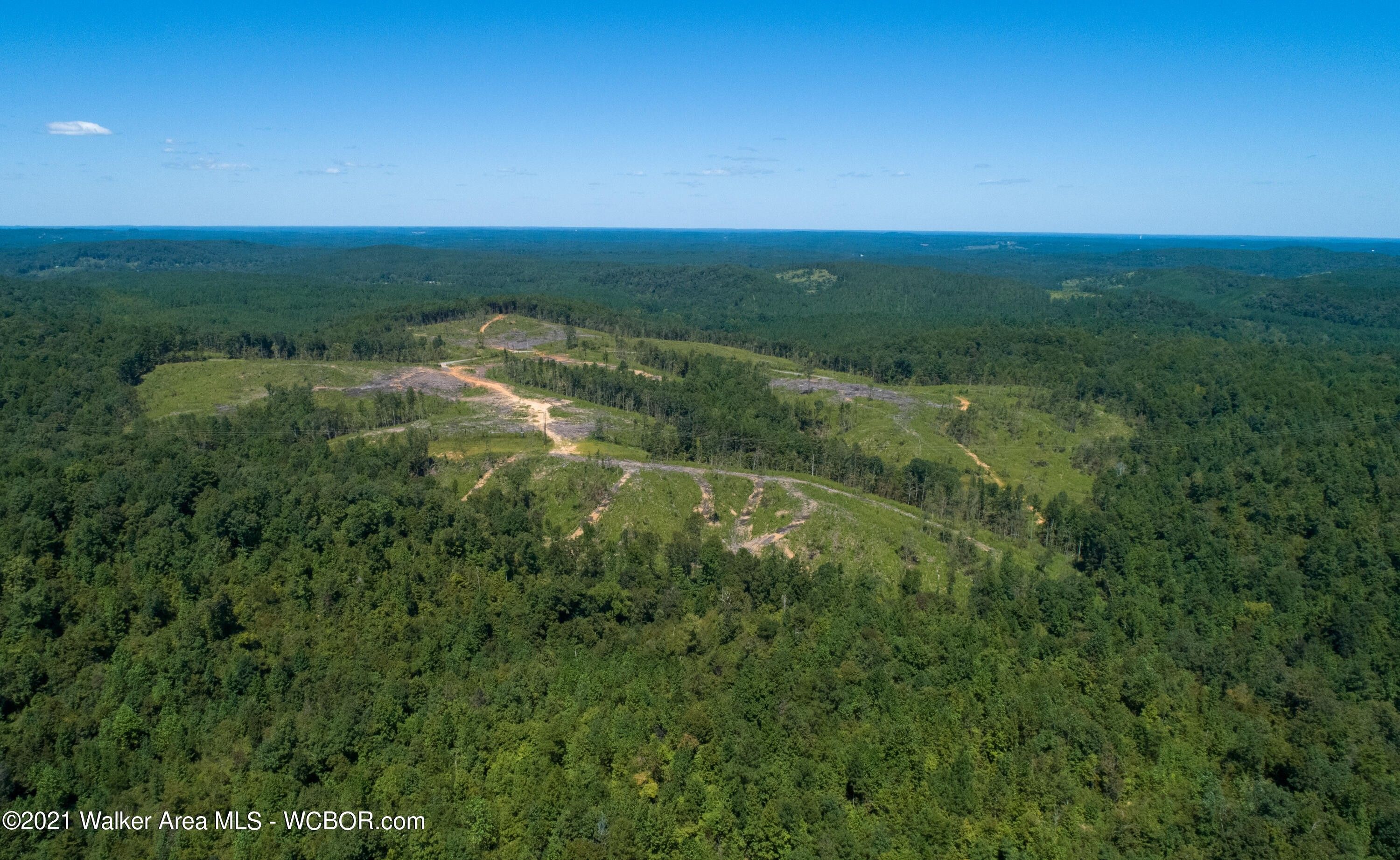161 acres in Walker County, Alabama