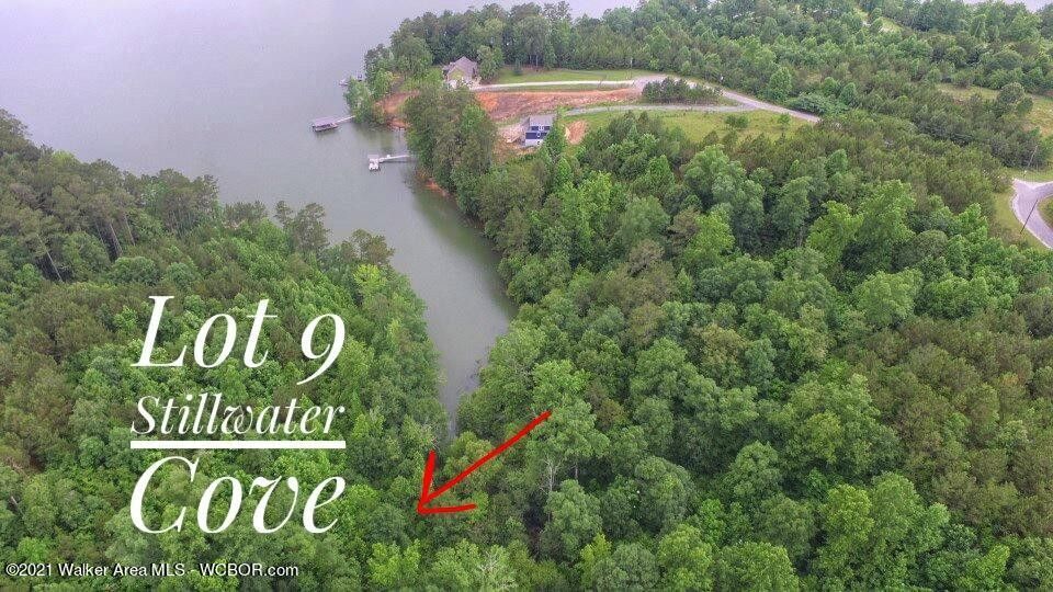 2.7 acres in Winston County, Alabama