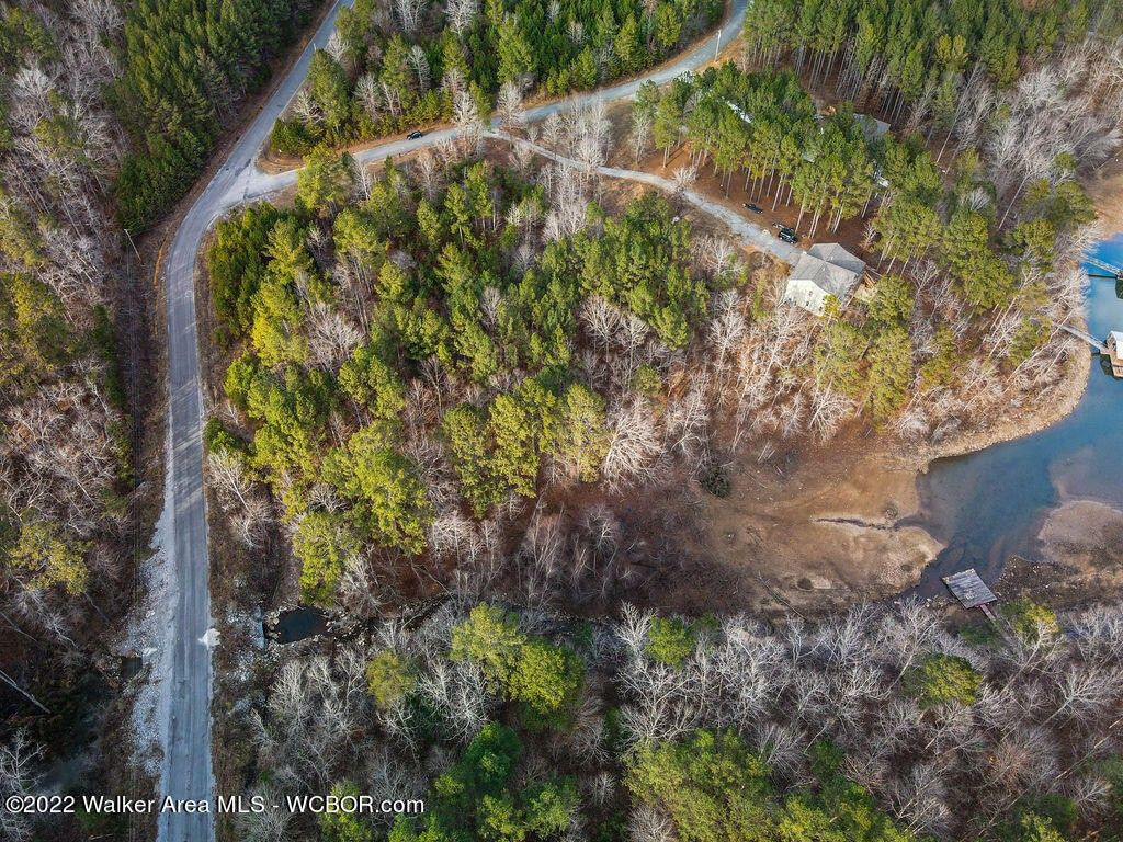 1.2 acres in Winston County, Alabama