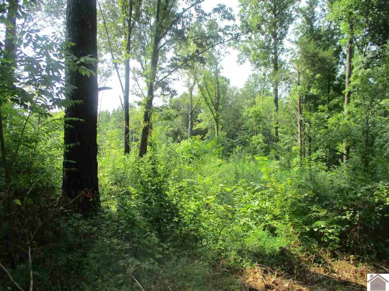 10 acres in Graves County, Kentucky