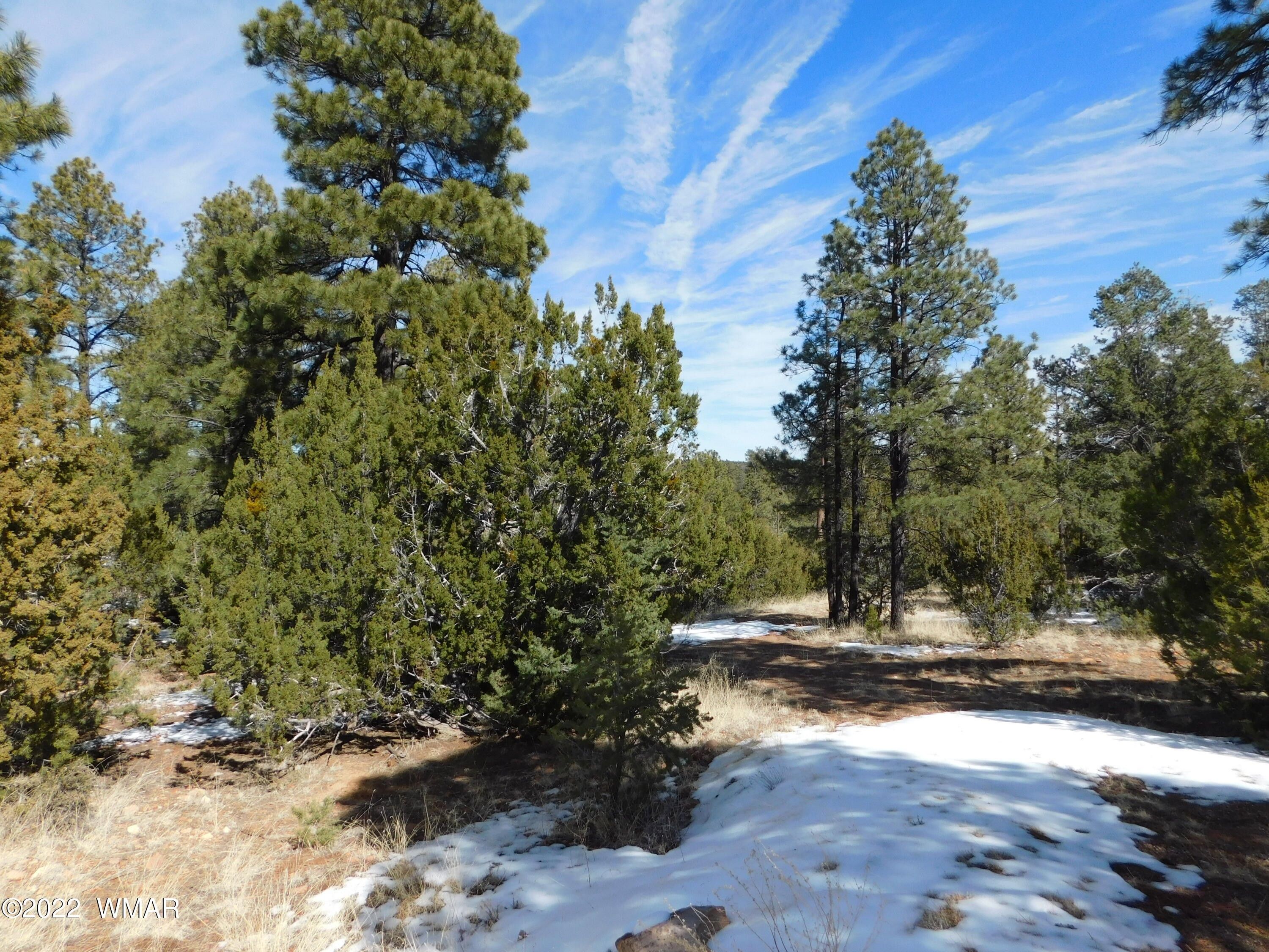 1.7 acres in Navajo County, Arizona