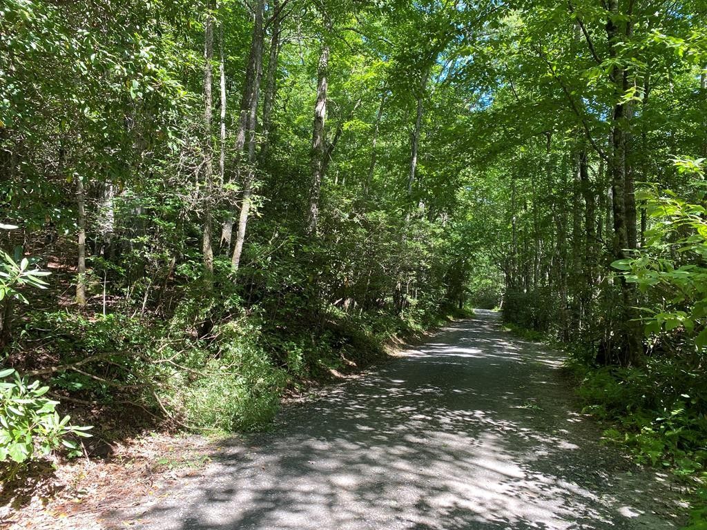 4.5 acres in Yancey County, North Carolina