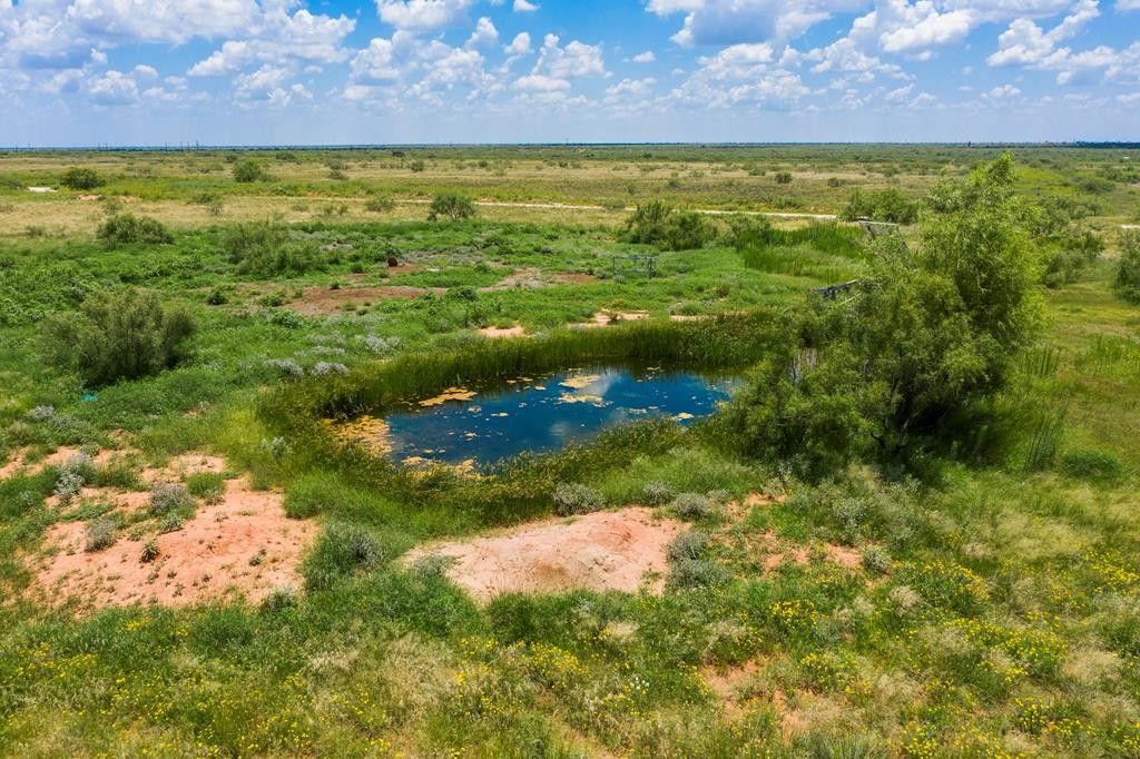165.65 acres in Andrews County, Texas