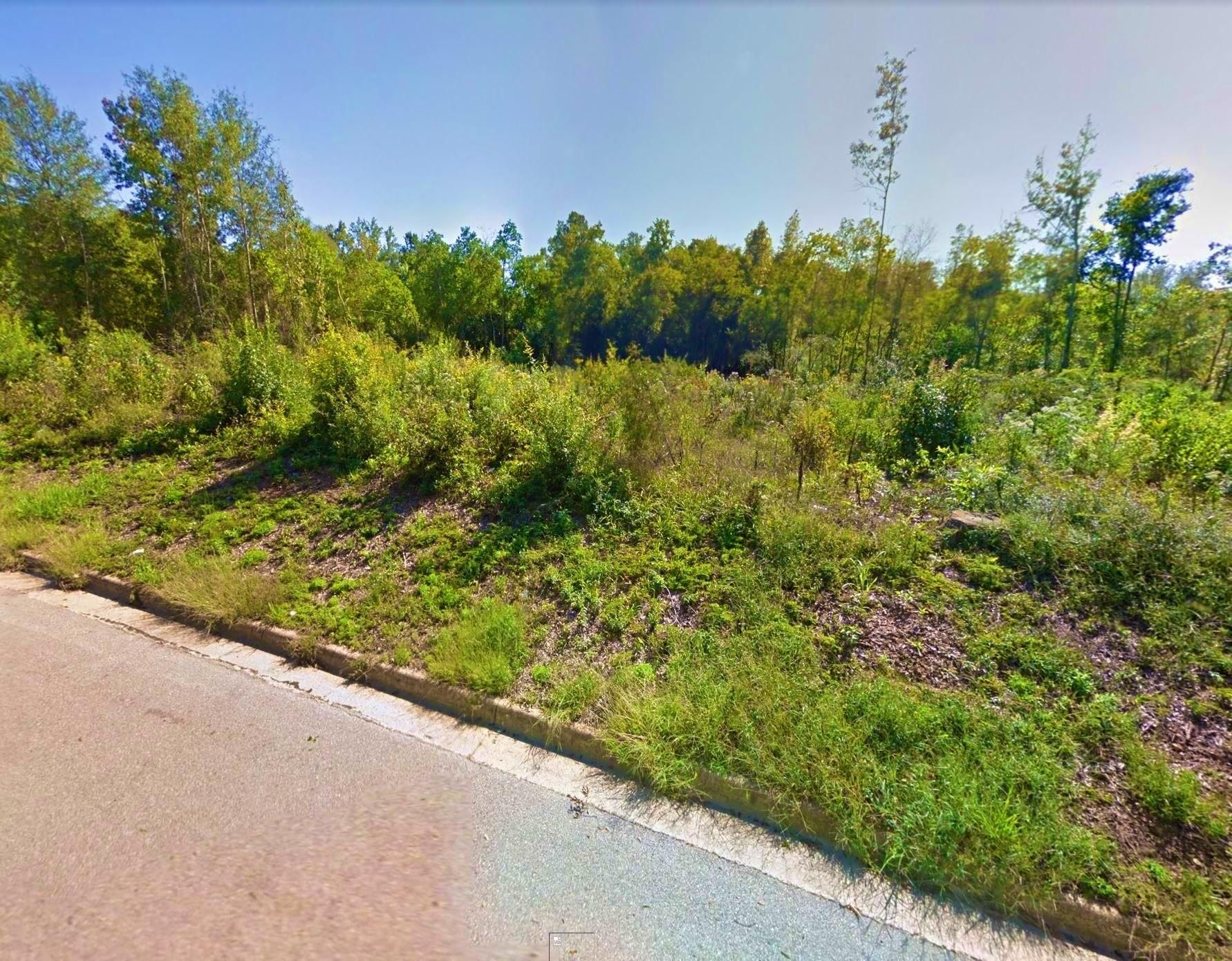 0.4 acres in Shelby County, Texas